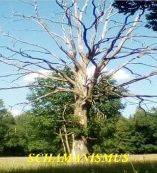 heidi.findeis@web.de